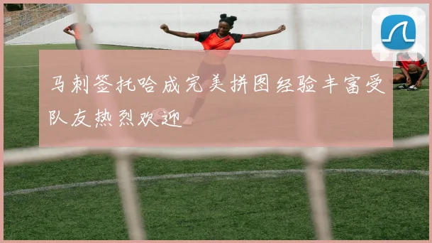马刺签托哈成完美拼图经验丰富受队友热烈欢迎