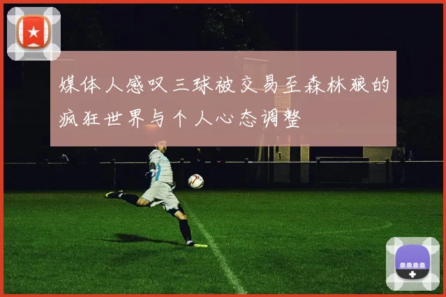 媒体人感叹三球被交易至森林狼的疯狂世界与个人心态调整